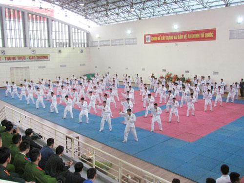 Êv88 chào đón năm mới 2026 tổ chức biểu diễn võ thuật nhân ngày Thể thao Việt Nam